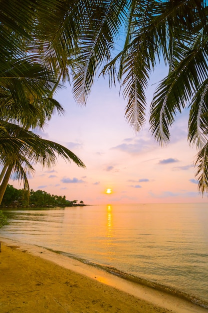 Bezpłatne zdjęcie piękna rajska wyspa z plażą i morzem wokoło kokosowej palmy