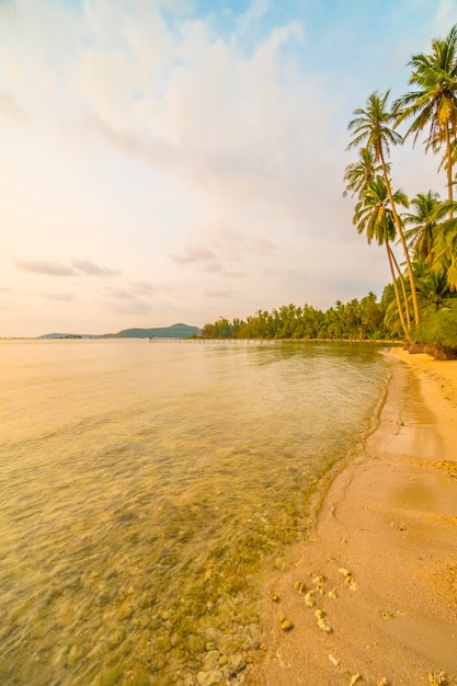 Piękna rajska wyspa z plażą i morzem wokoło kokosowej palmy
