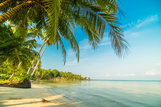 Piękna rajska wyspa z plażą i morzem