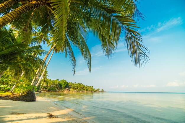 Piękna rajska wyspa z plażą i morzem