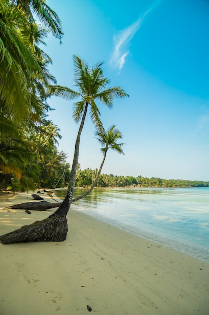 Piękna rajska wyspa z plażą i morzem