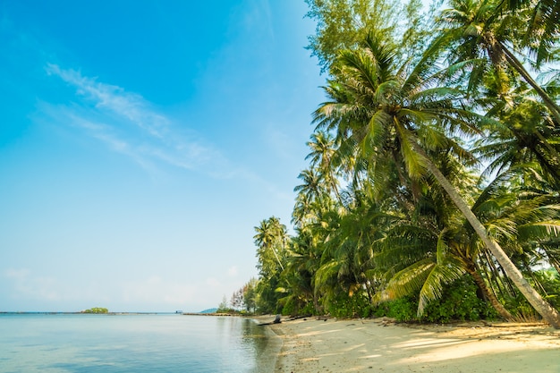 Piękna rajska wyspa z plażą i morzem