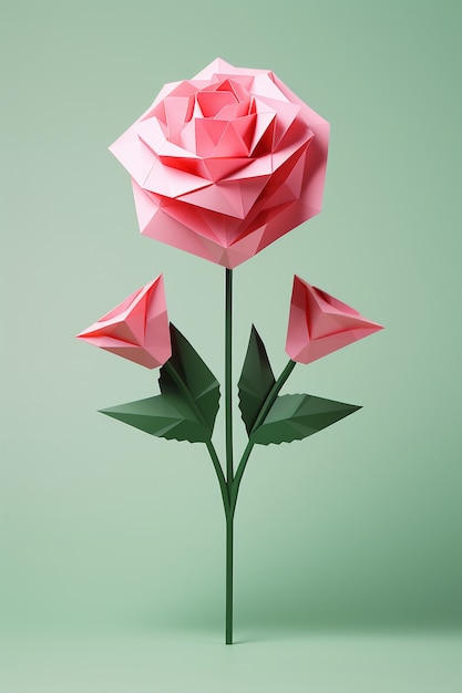 Piękna różowa róża w studiu