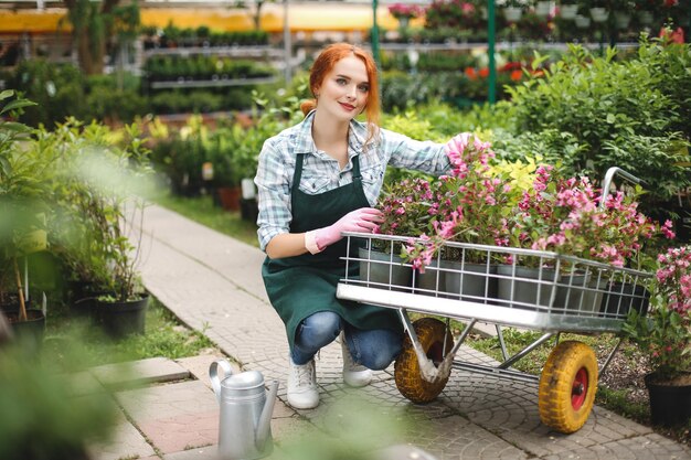 Piękna ruda dama w fartuchu i różowych rękawiczkach marzycielsko patrząca w kamerę podczas pracy z kwiatami w wózku ogrodowym w szklarni