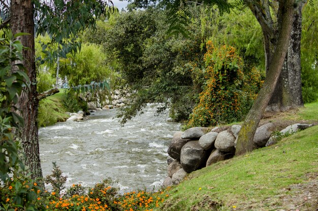 Piękna rzeka przechodzi przez wiejski park miejski