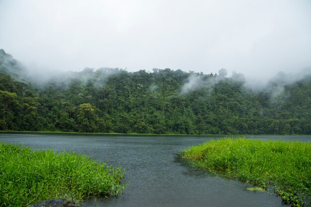 Piękna rzeka w tropikalnym tropikalnym lesie deszczowym przy Costa Rica