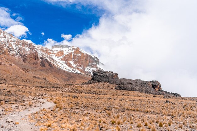 Piękna sceneria górskiego krajobrazu w Parku Narodowym Kilimandżaro