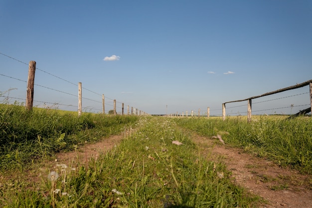 Piękna sceneria greenfield na wsi w regionie Eifel w Niemczech