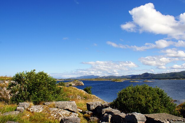 Piękna sceneria jeziora otoczonego zapierającą dech w piersiach norweską zielenią w Norwegii