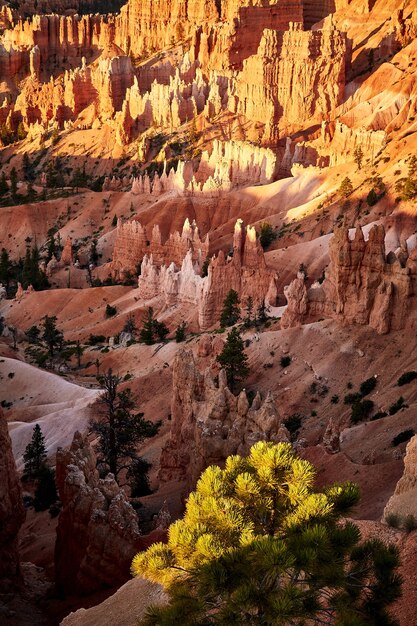 Piękna sceneria kanionu w Parku Narodowym Bryce Canyon, Utah, USA