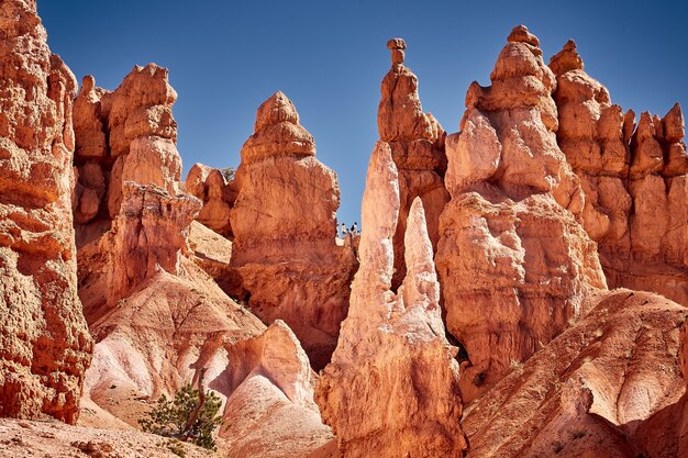 Piękna sceneria kanionu w Parku Narodowym Bryce Canyon, Utah, USA