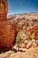 Bezpłatne zdjęcie piękna sceneria kanionu w parku narodowym bryce canyon, utah, usa