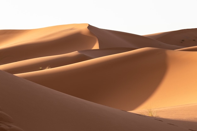 Piękna sceneria wydm na pustynnym terenie w słoneczny dzień