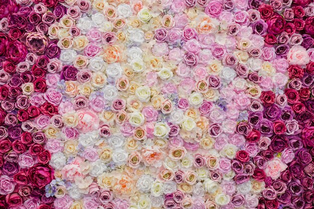 Piękna ściana ozdobiona różami