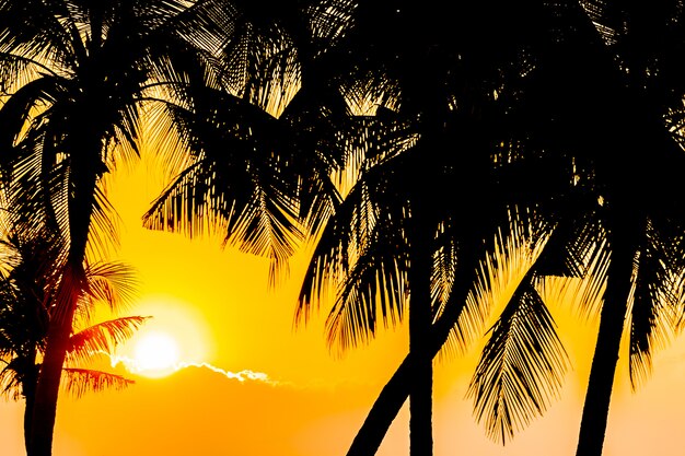 Piękna sylwetka palmy kokosowej na niebie blisko oceanu morza plaży o zachodzie słońca lub wschodzie słońca