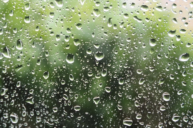 Piękna tekstura kropli deszczu na oknie z zielonymi drzewami i widocznym przez niego światłem słonecznym