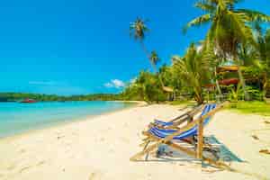 Bezpłatne zdjęcie piękna tropikalna plaża i morze z kokosowym drzewkiem palmowym w raj wyspie