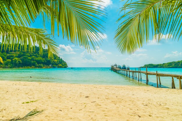 Piękna tropikalna plaża i morze z kokosowym drzewkiem palmowym w raj wyspie
