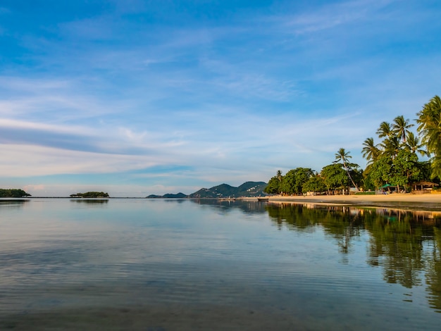 Piękna tropikalna plaża i morze z kokosowym drzewkiem palmowym