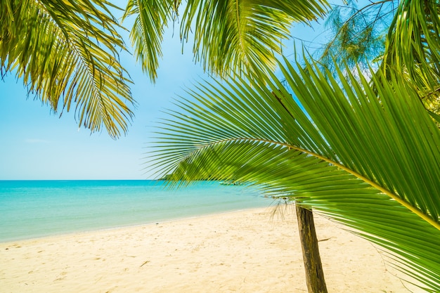 Piękna tropikalna plaża i morze