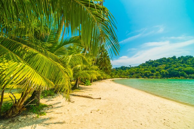 Piękna tropikalna plaża i morze