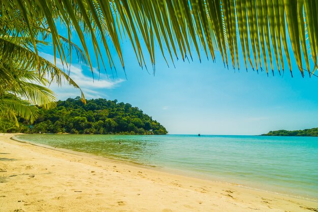 Piękna tropikalna plaża i morze