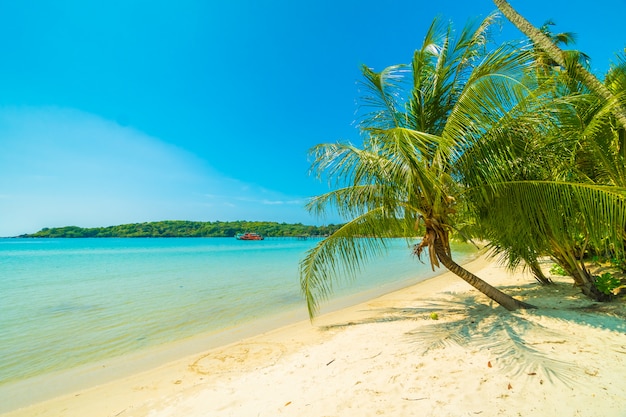 Bezpłatne zdjęcie piękna tropikalna plaża i morze