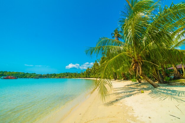 Piękna tropikalna plaża i morze