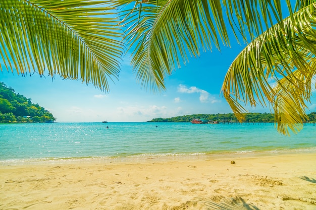 Piękna tropikalna plaża i morze