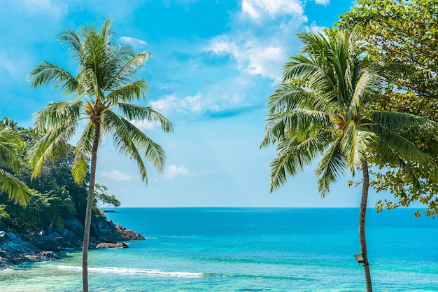 Piękna tropikalna plaża z kokosem i innymi drzewami wokół białej chmury na błękitnym niebie