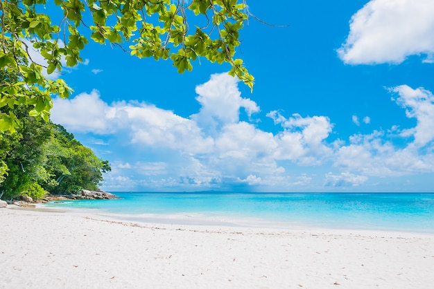 Piękna tropikalna plaża