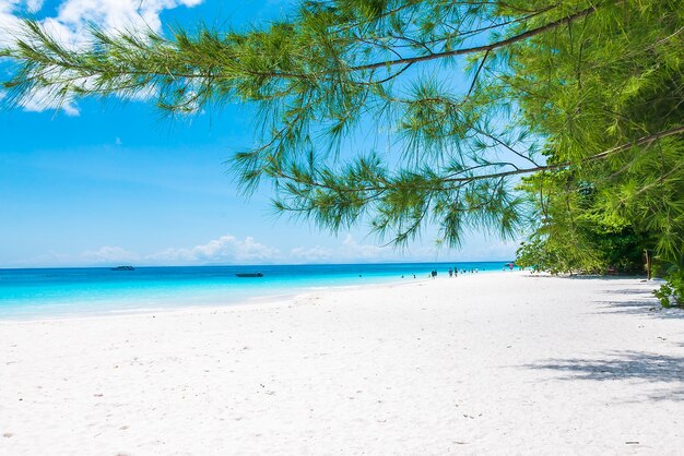 Piękna tropikalna plaża