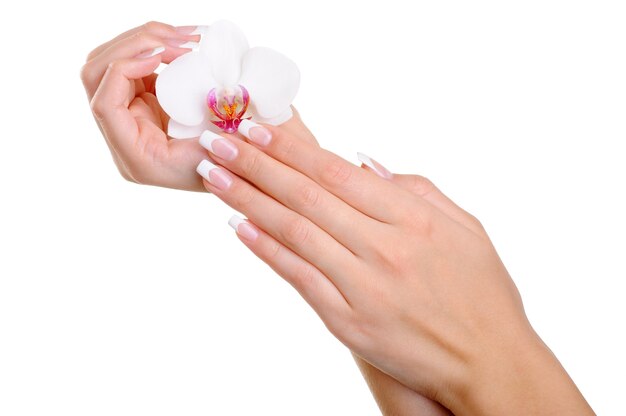 Piękna zadbana kobieca dłoń z eleganckimi palcami i francuskim manicure trzyma biały kwiat