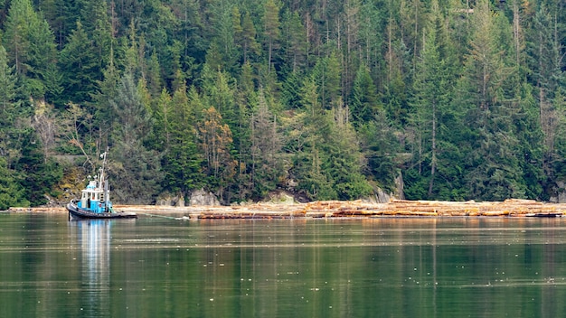 Piękna zielona sceneria przy jeziorem w Squamish, BC Kanada