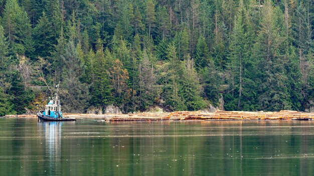Piękna zielona sceneria przy jeziorem w Squamish, BC Kanada