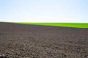 Bezpłatne zdjęcie piękne czarne pola na ukrainie. rolniczy krajobraz wiejski, kolorowe wzgórza. zaorana ciemna ziemia i zielone pola. poznaj piękno świata.