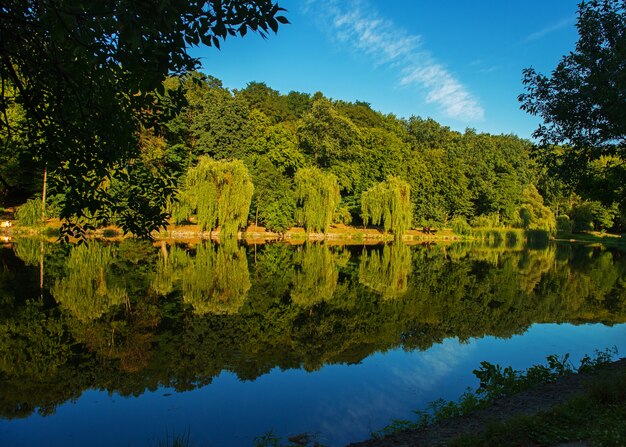 Piękne jezioro latem z odbiciem drzew na powierzchni wody. Piękny park miejski w Kijowie