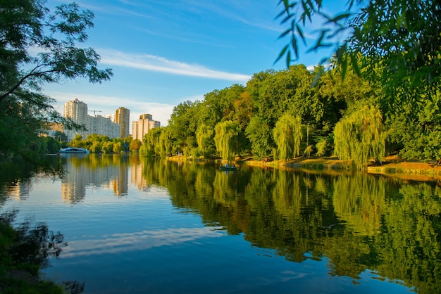 Piękne jezioro latem z odbiciem drzew na powierzchni wody. Piękny park miejski w Kijowie