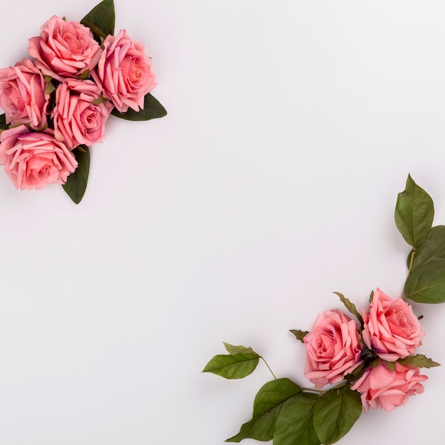 Bezpłatne zdjęcie piękne kompozycje róż