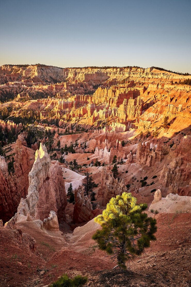 Bezpłatny plik Zdjęcie piękne krajobrazy krajobrazu kanionu w bryce canyon national park, utah, usa
