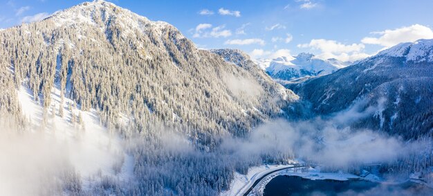 Piękne krajobrazy lasu w zaśnieżonych Alpach zimą
