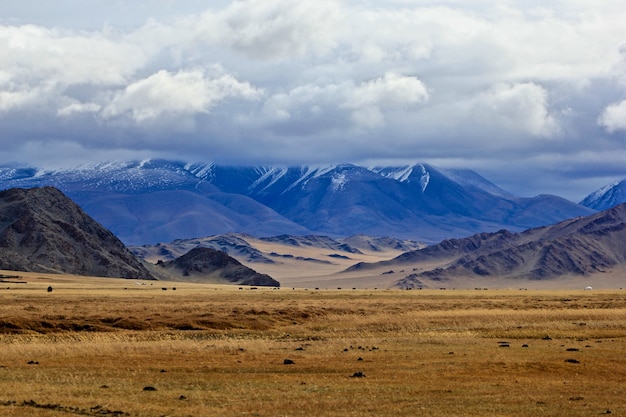 Piękne krajobrazy mongolskiej dzikiej przyrody i krajobrazu