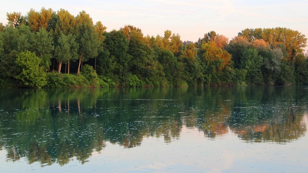 Piękne krajobrazy wielu drzew odbite w jeziorze pod czystym niebem