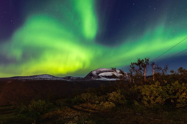 Piękne krajobrazy zorzy polarnej na nocnym niebie w Tromso Lofoty, Norwegia