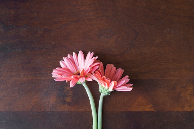 Bezpłatne zdjęcie piękne kwiaty na powierzchni drewnianych