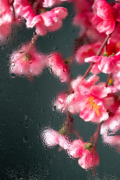 Piękne kwiaty widoczne za wilgotnym szkłem