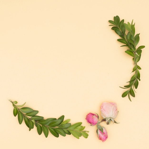 Bezpłatne zdjęcie piękne róże i liście gałązka na beżowym tle