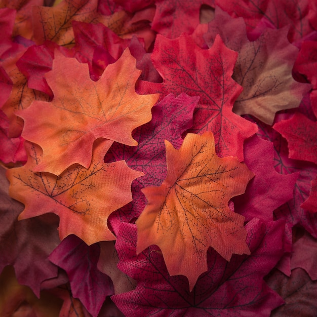 Piękne teksturowane jesienne liście klonu