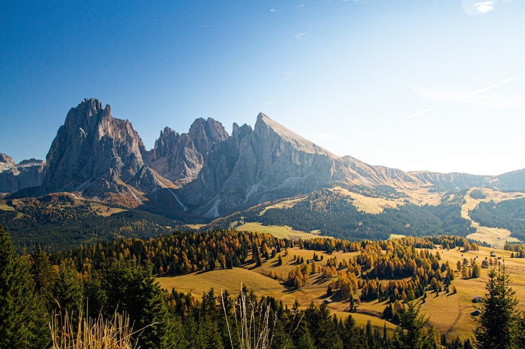 Bezpłatny plik Zdjęcie piękne ujęcie dolomitu z górami i drzewami pod błękitne niebo we włoszech