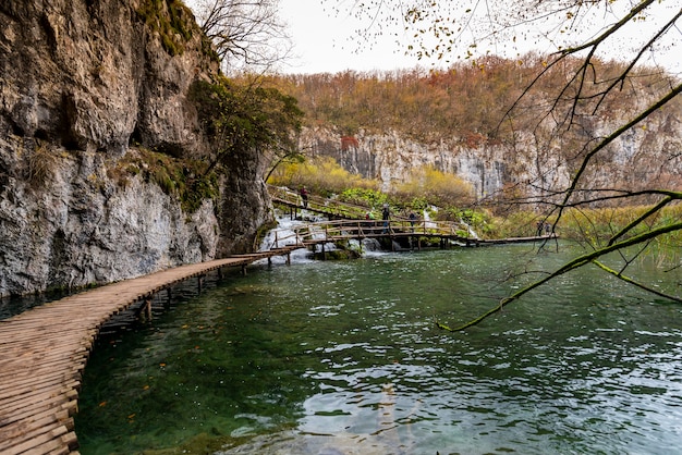 Piękne ujęcie drewnianej ścieżki w Parku Narodowym Jezior Plitwickich w Chorwacji